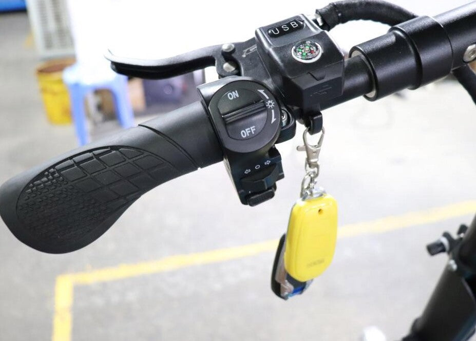 MONOPATTINO ELETTRICO IX5S 1000 WATT AUTONOMIA 95 KM