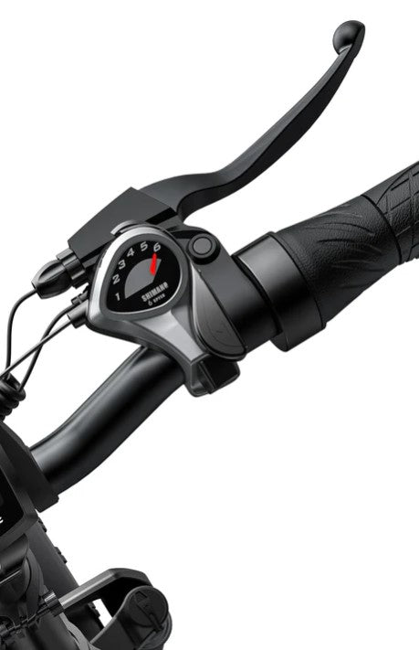 ENGWE EP-2 PRO | Bicicletta Elettrica Pieghevole | Versatile | Motore: Brushless 250W | 48V 13Ah | Freni Idraulici | 25km/h | Autonomia 120Km| GARANZIA ITALIANA