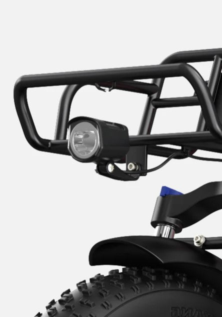 ENGWE L20 Boost | Bicicletta Elettrica | Versatile | Motore 250W | 48V 624wh | Sensore di coppia | 25km/h | Autonomia 126Km| GARANZIA ITALIANA